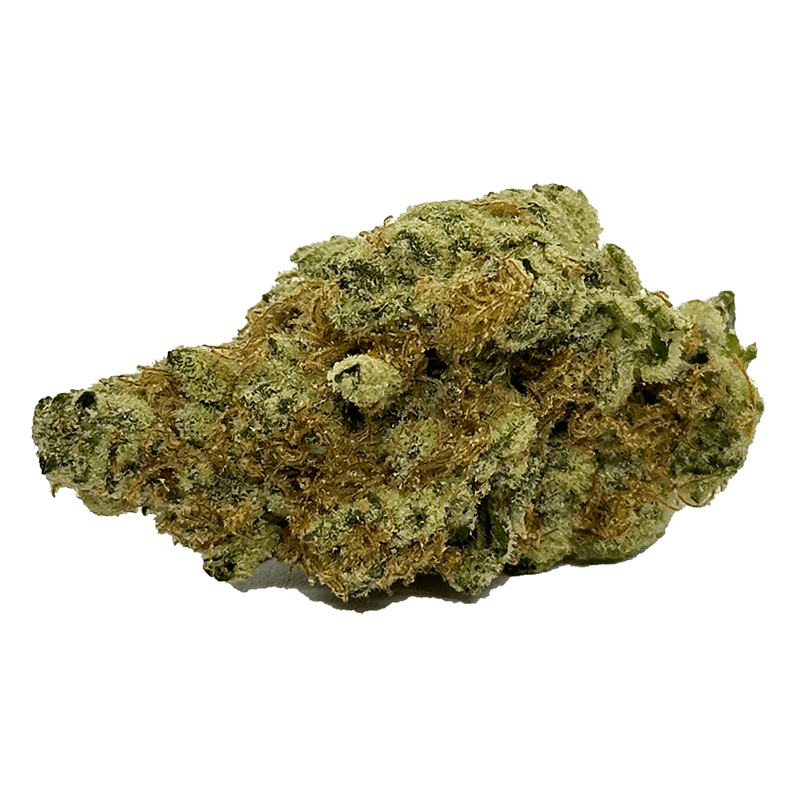 order garlicane weed online
