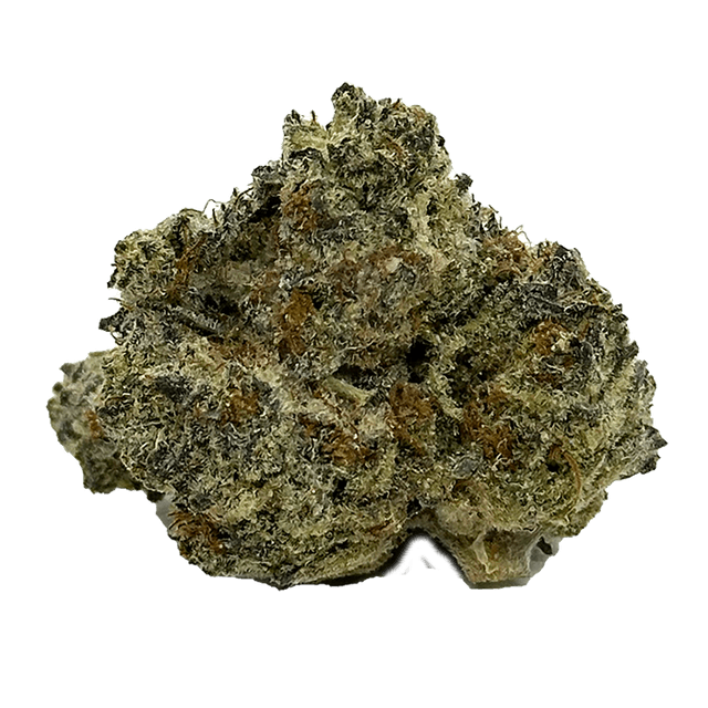 Buy White Truffle Weed Online